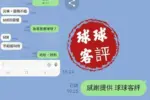 台中定點茶-球球
