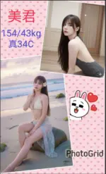 南投定點茶-美君