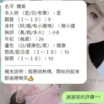 新竹定點茶-糖果