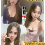 新北定點茶-晴天