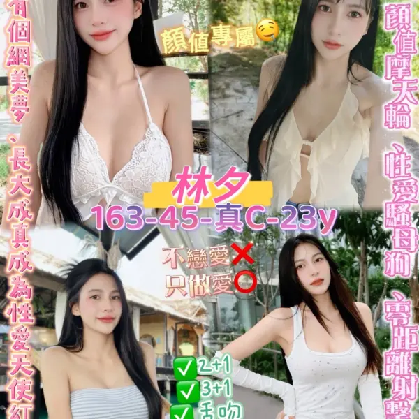 桃園定點茶-林夕