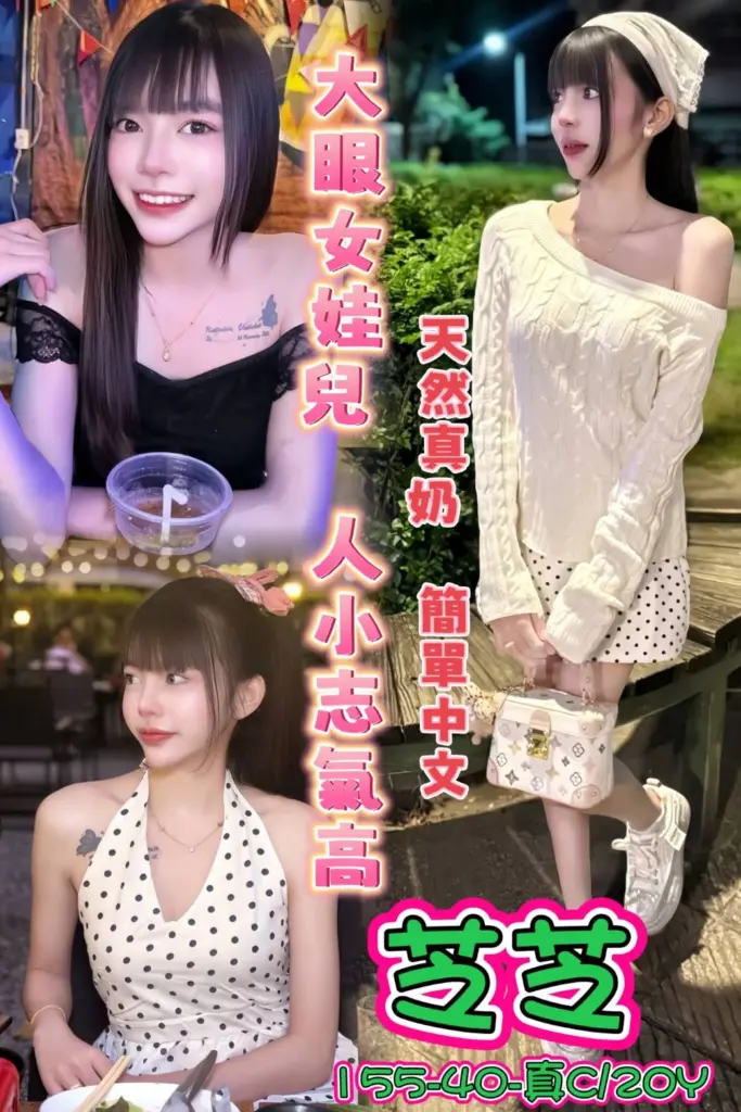 新北全套